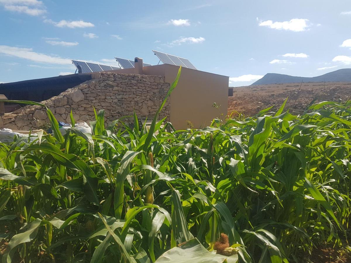 Villa La Vista De Tefía エクステリア 写真