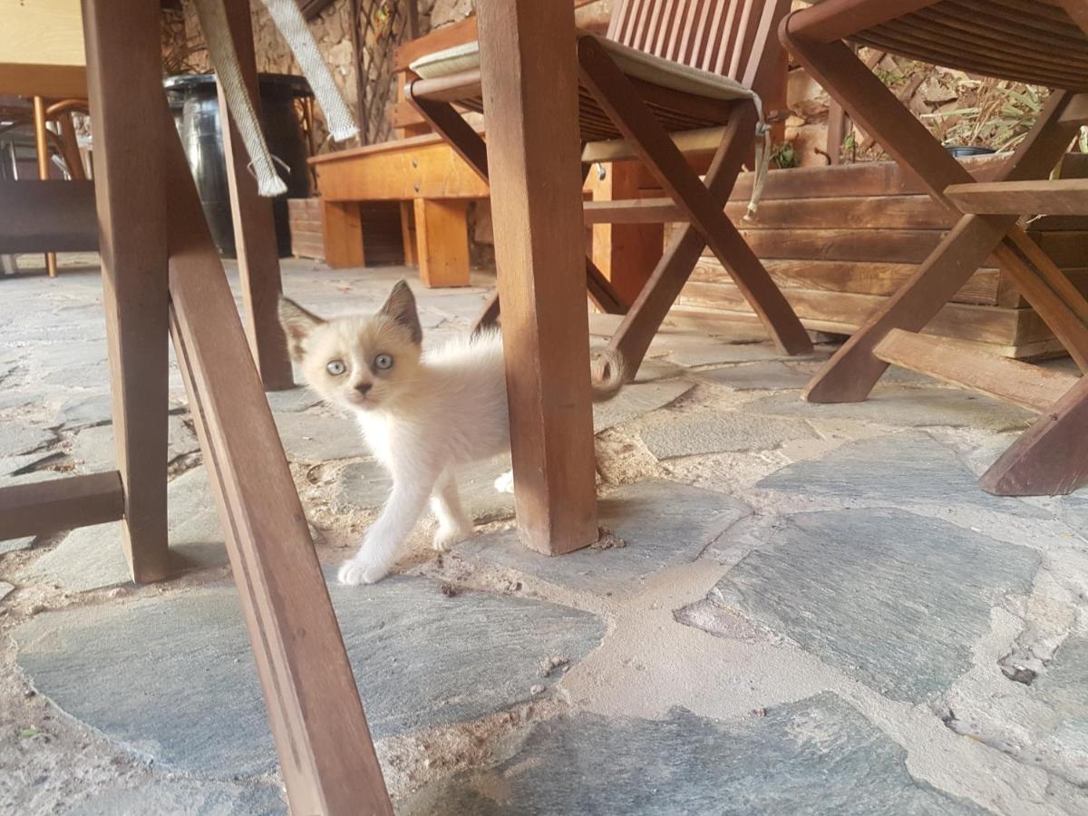 Villa La Vista De Tefía エクステリア 写真