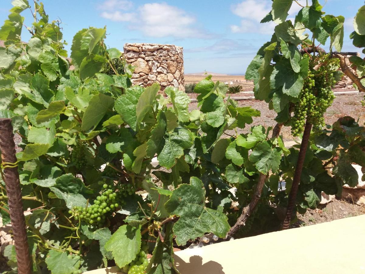 Villa La Vista De Tefía エクステリア 写真