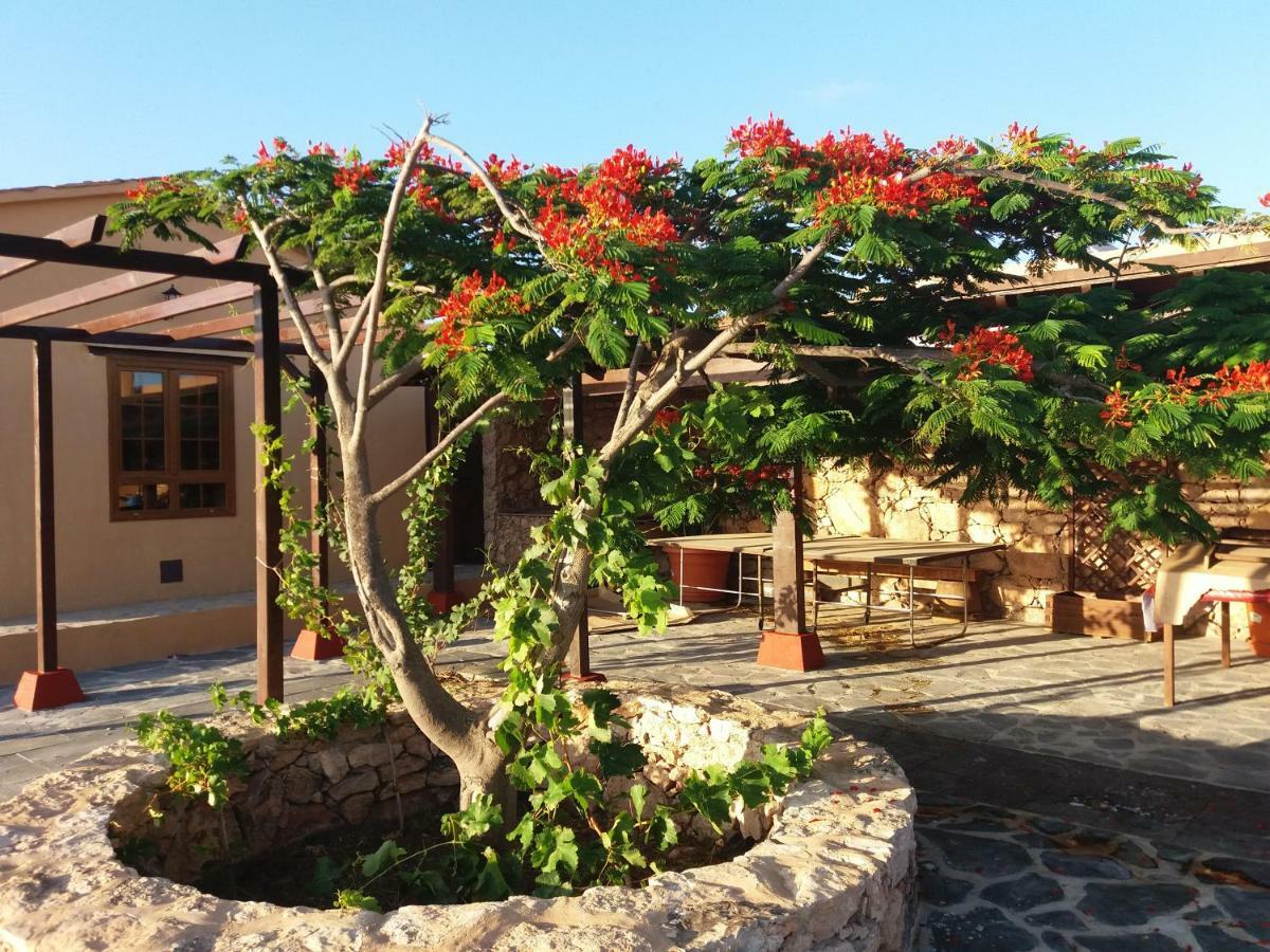 Villa La Vista De Tefía エクステリア 写真